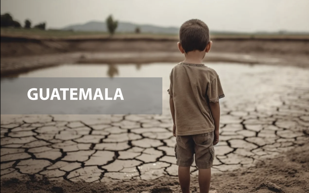 ES OBLIGATORIA LA LICENCIA AMBIENTAL PARA MI  NEGOCIO EN GUATEMALA??